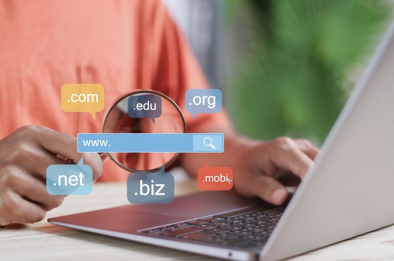domains